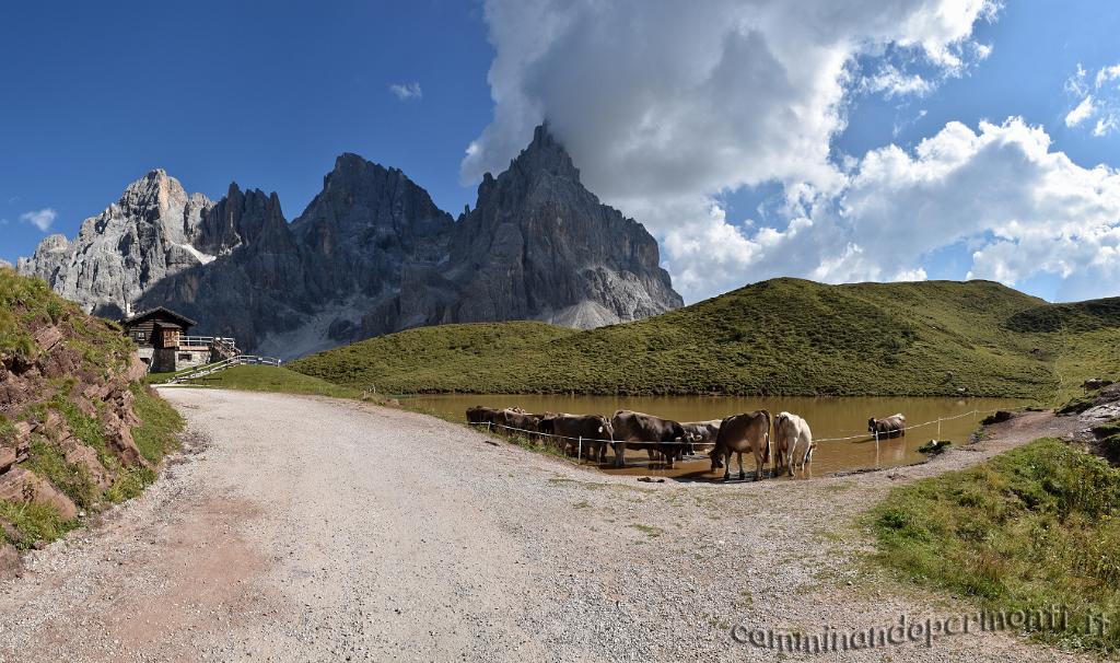 22 Baita Segantini - Pale di San Martino.jpg